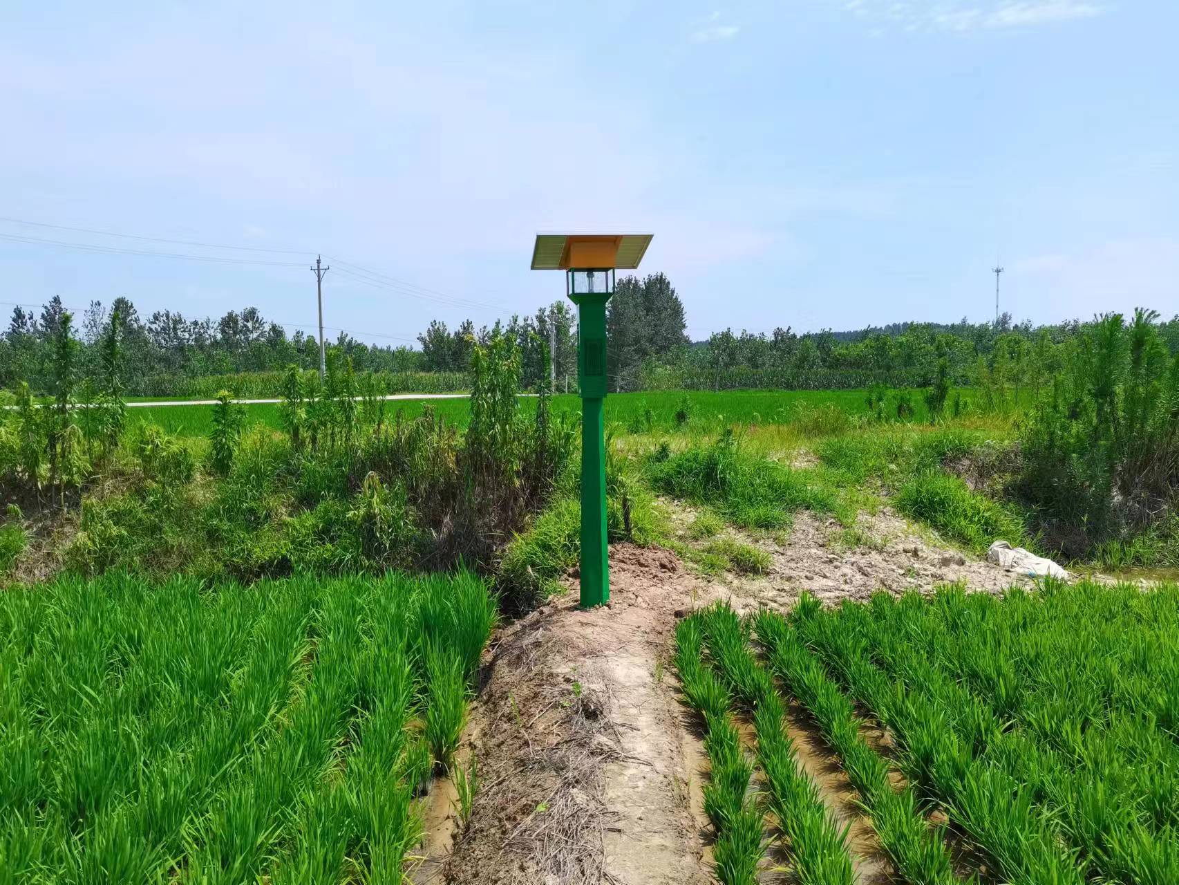 風(fēng)吸式太陽能捕蟲器型號(hào)FXZN08 風(fēng)吸式太陽能捕蟲器型號(hào)FXZN08