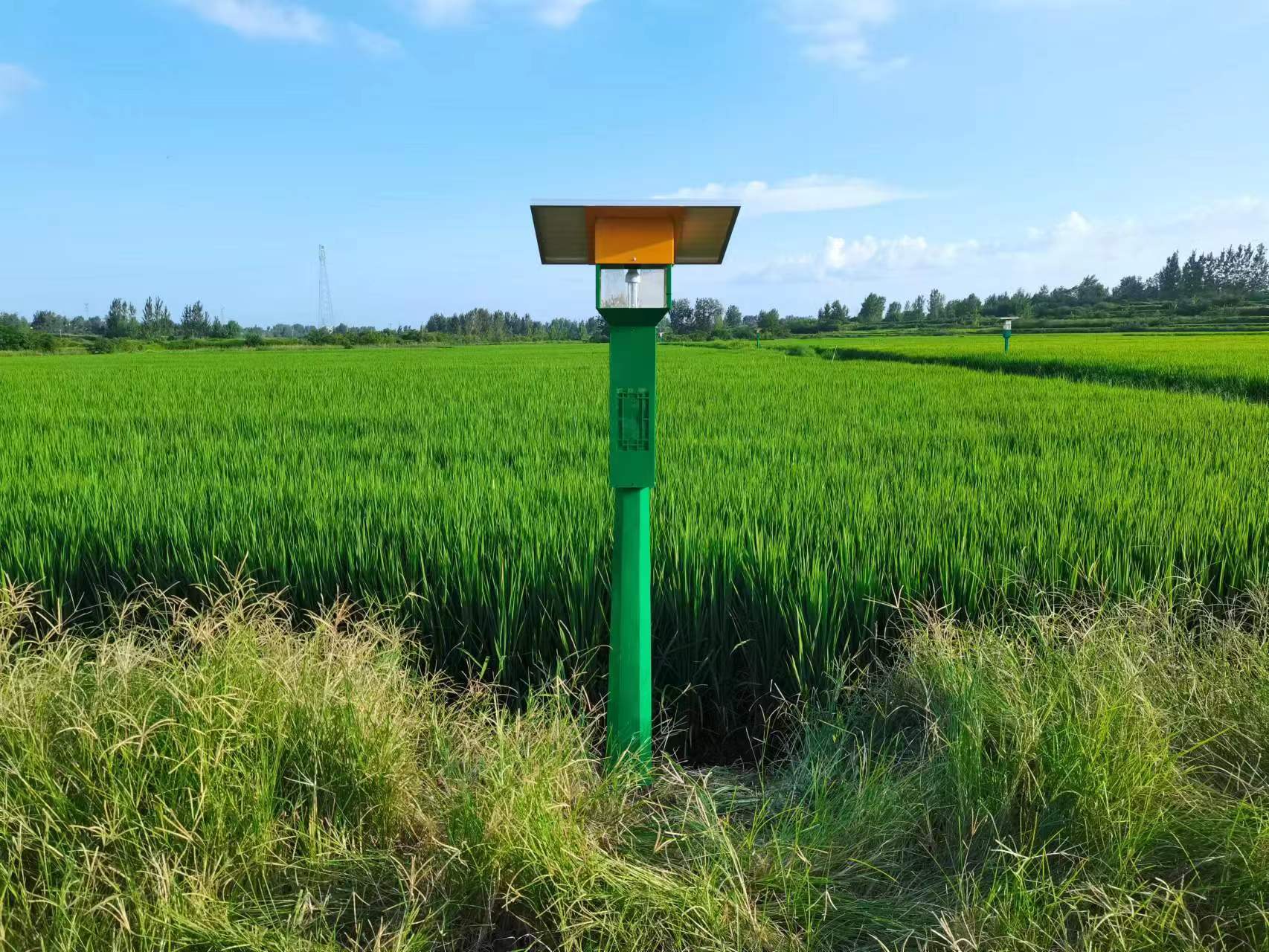 風(fēng)吸式太陽能捕蟲器型號(hào)FXZN08 風(fēng)吸式太陽能捕蟲器型號(hào)FXZN08