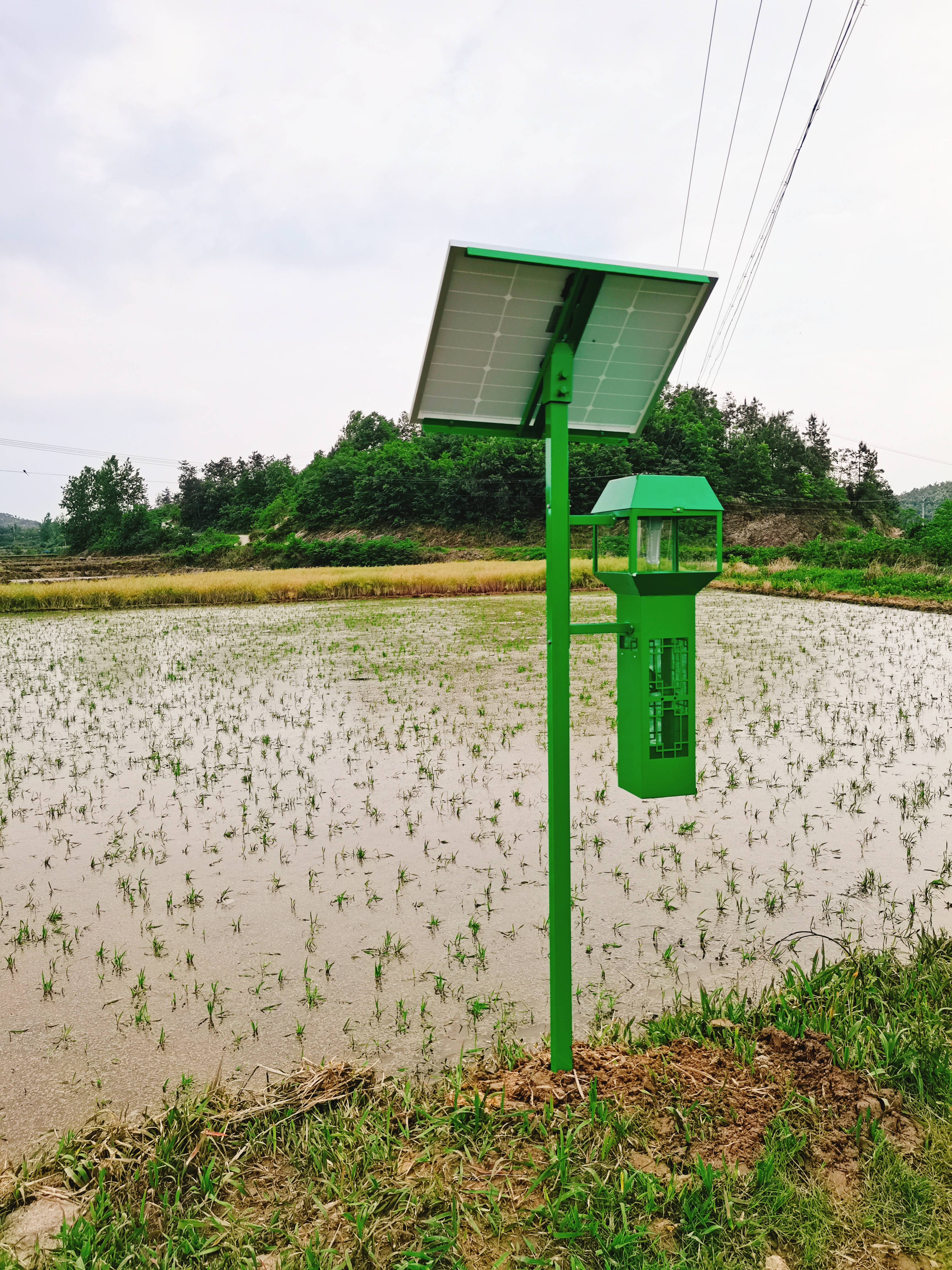 風(fēng)吸式太陽能殺蟲燈ZW-FX06 風(fēng)吸式太陽能殺蟲燈ZW-FX06